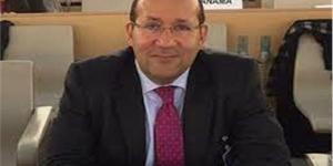 رئيس الجالية المصرية بإيطاليا: فوز مصر برئاسة «الفاو» حدث تاريخي - ترند نيوز