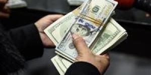 الداخلية تضبط قضايا اتجار في العملات الأجنبية بقيمة 4 ملايين جنيه خلال 24 ساعة - ترند نيوز