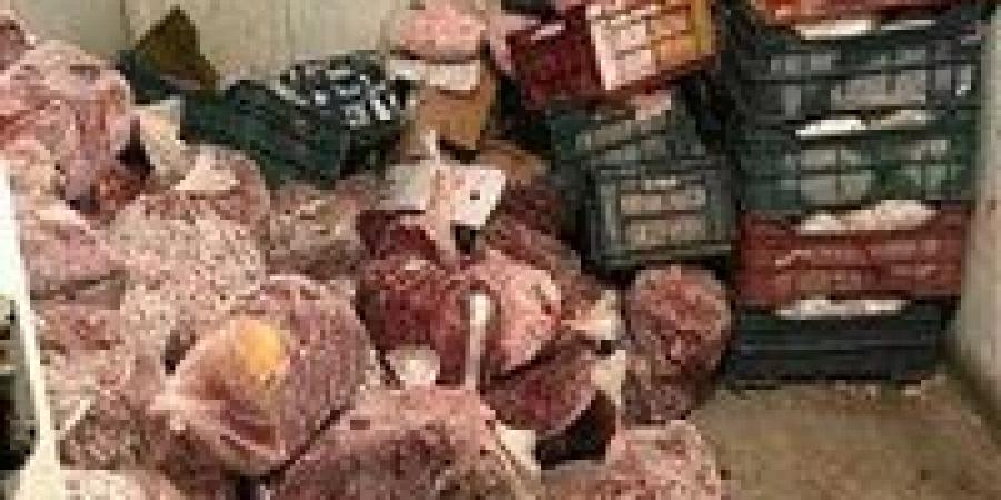 ضبط طن لحوم فاسدة بطوخ وغلق ثلاجة مخالفة بالتعاون مع الصحة والتموين - ترند نيوز