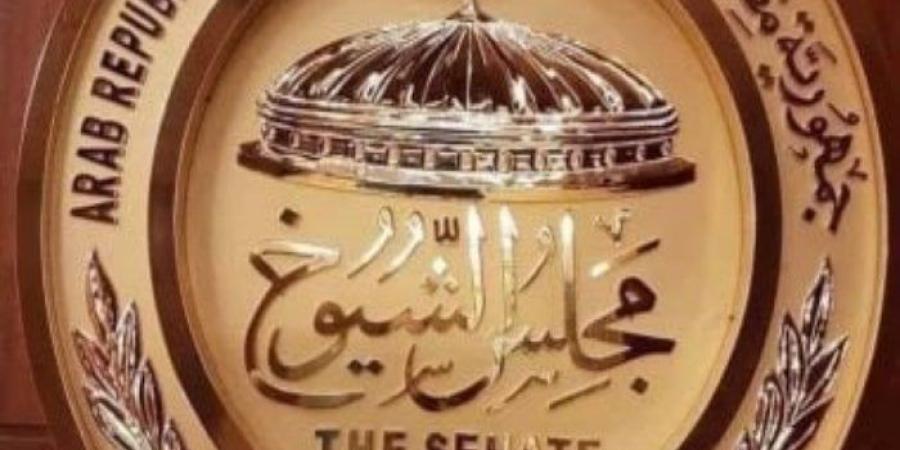 في اليوم الأول.. 8 مرشحين تقدموا بأوراقهم لانتخابات الشيوخ في بني سويف - ترند نيوز