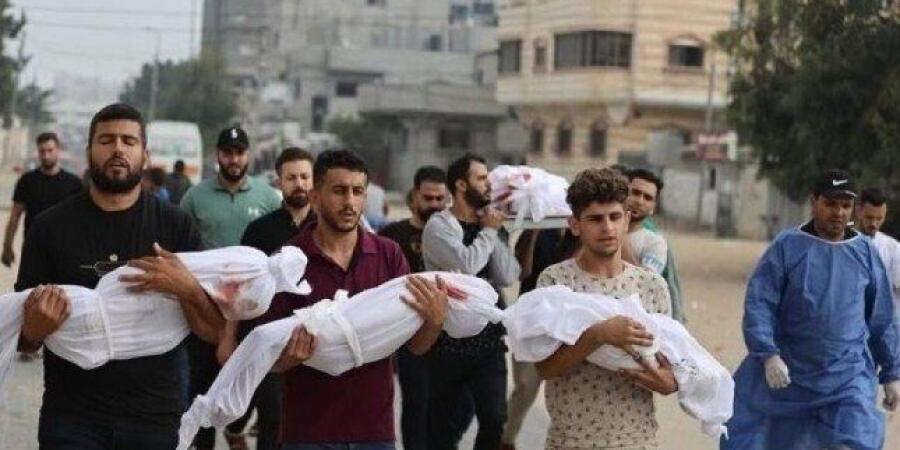 ارتفاع حصيلة العدوان الإسرائيلي على قطاع غزة إلى 57 ألفا و338 شهيدا - ترند نيوز